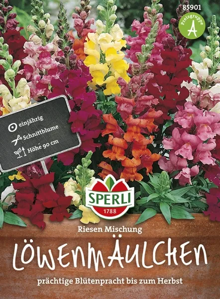 Sperli Löwenmäulchen Riesen Mischung - Blumensamen Sperli Löwenmäulchen Riesen Mischung - Blumensamen