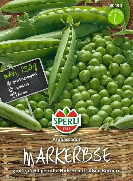 Sperli Markerbsen Ambassador 250 Gramm MaxiPack - Gemüsesamen