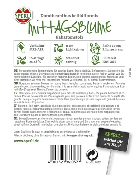 Sperli Mittagsblumen Rabattenstolz - Blumensamen