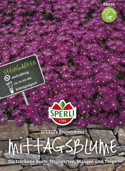 Sperli Mittagsblumen SPERLIs Blütenmeer - Blumensamen