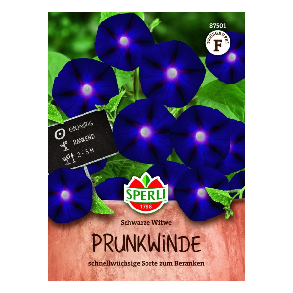 Sperli Prunkwinde Schwarze Witwe - 1 Portion