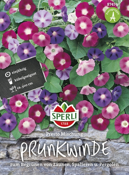 Sperli Prunkwinden Presto Mischung - Blumensamen