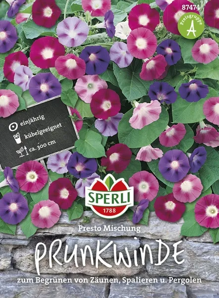 Sperli Prunkwinden Presto Mischung - Blumensamen