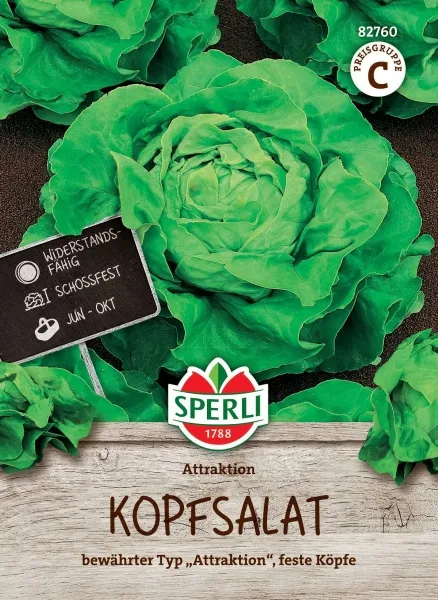 Sperli Salat Attraktion - Gemüsesamen Sperli Salat Attraktion - Gemüsesamen