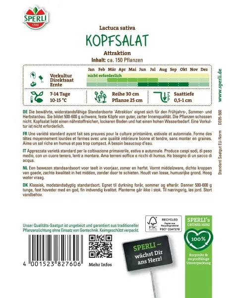 Sperli Salat Attraktion - Gemüsesamen