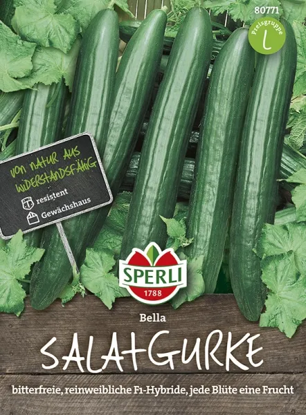 Sperli Salatgurken Bella F1 - Gemüsesamen