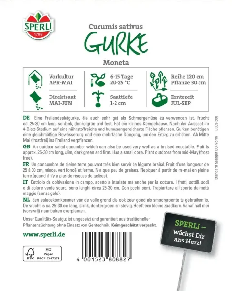 Sperli Salatgurken Moneta - Gemüsesamen
