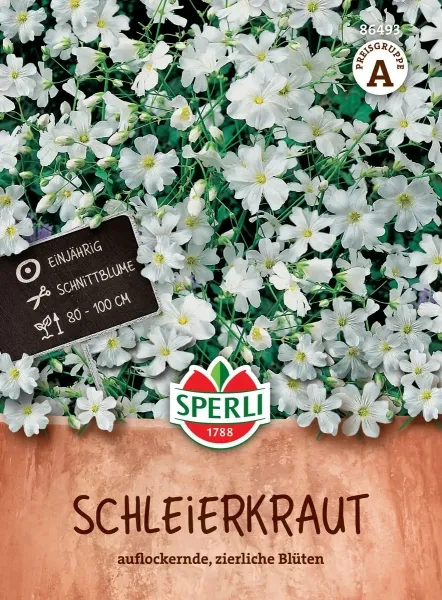 Sperli Schleierkraut Weiß - Blumensamen