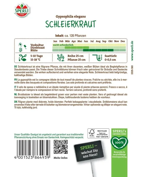 Sperli Schleierkraut Weiß - Blumensamen