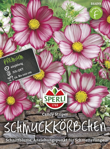 Sperli Schmuckkörbchen / Kosmee Candy Stripes - Blumensamen