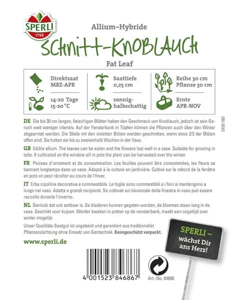 Sperli Schnitt-Knoblauch Fat Leaf - Kräutersamen