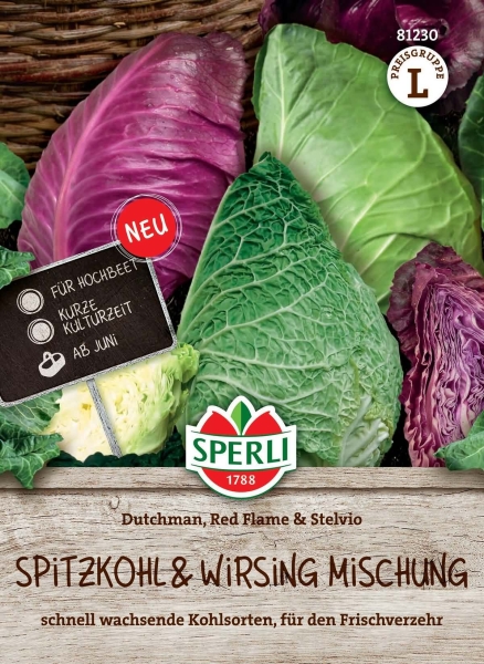 Sperli Spitzkohl Dutchman F1 - Red Flame - Wirsing Stelvio - Gemüsesamen