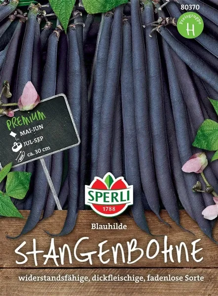 Sperli Stangenbohnen Blauhilde - Gemüsesamen Sperli Stangenbohnen Blauhilde - Gemüsesamen