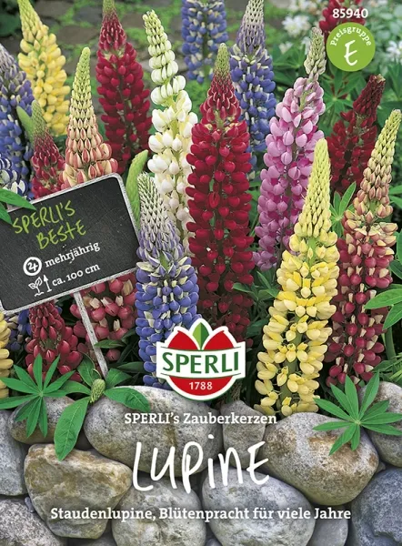 Sperli Staudenlupinen SPERLIs Zauberkerzen - Blumensamen