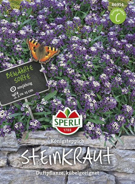 Sperli Steinkraut Duftsteinrich Königsteppich - Blumensamen
