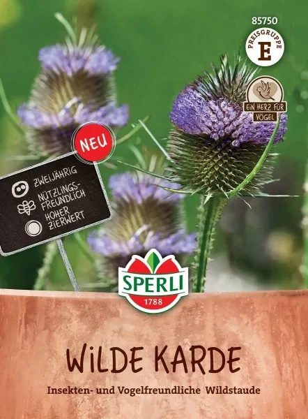 Sperli Wilde Karde blau - violett - Blumensamen