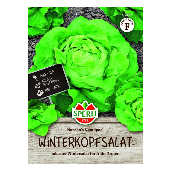 Sperli Winterkopfsalat Nansen's Noordpool Samen - 1 Portion