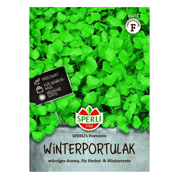 Sperli Winterportulak Postelein - Saatgut, Große Tüte (1 Portion)
