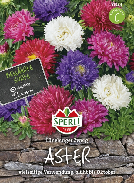 Sperli Zwerg-Sommerastern Lüneburger Zwerg Mischung - Blumensamen