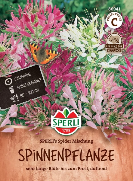 Spinnenpflanzen SPERLI's Spider Mischung - Blumensamen