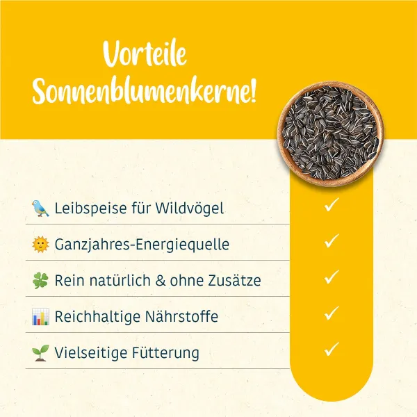 Stroetmann Elles Sonnenblumenkerne 1 kg