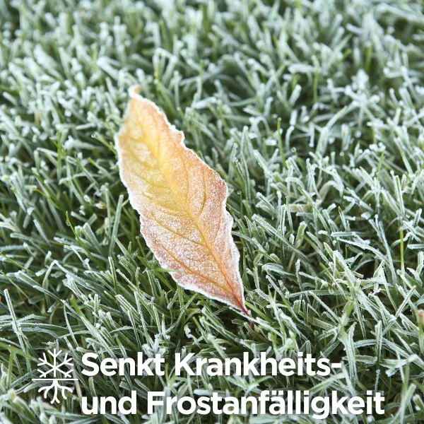 SUBSTRAL® Herbst Rasendünger für bis zu 400 m² - 10 kg