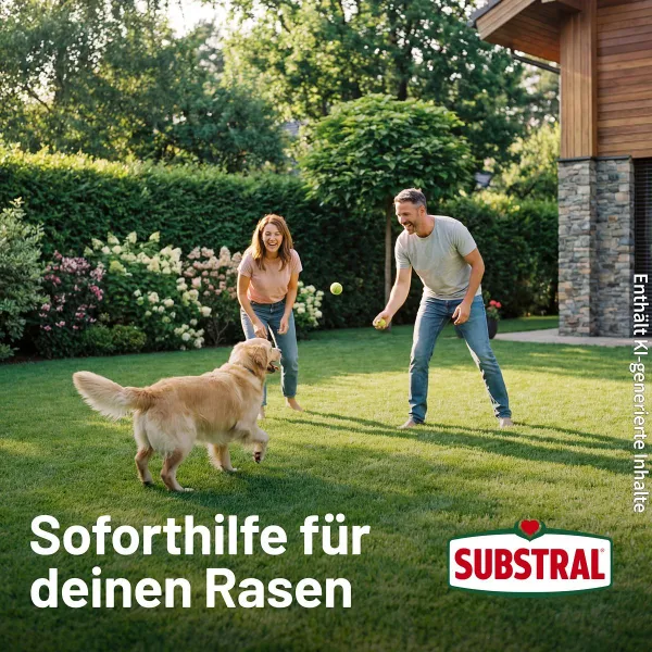 SUBSTRAL® Magisches Rasen-Pflaster für bis zu 16 m² - 3,6 kg