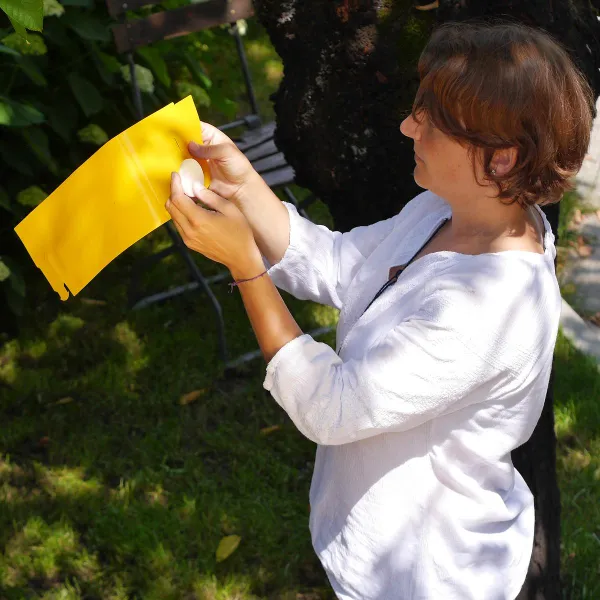 SUBSTRAL® Naturen® BIO Gelbtafeln - 7 Tafeln