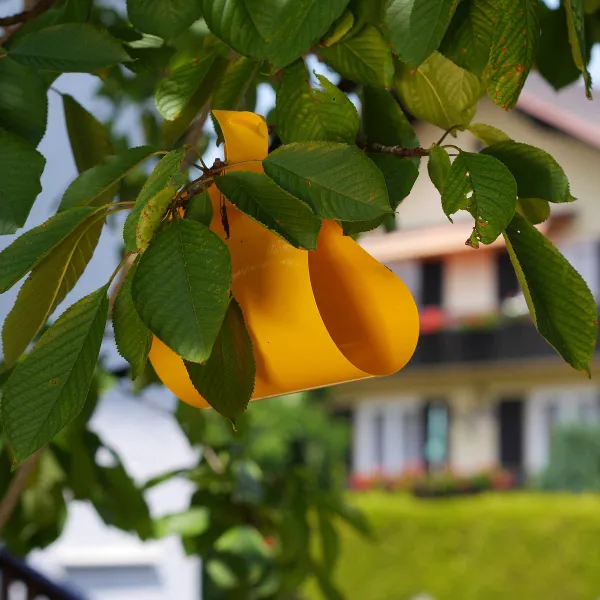 SUBSTRAL® Naturen® BIO Gelbtafeln - 7 Tafeln