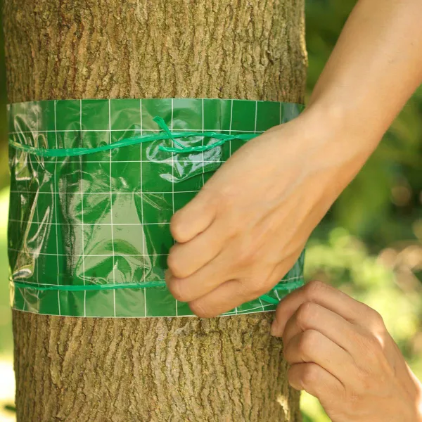 SUBSTRAL® Naturen® BIO Leimring insektizidfei - 2,5 Meter