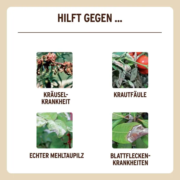 SUBSTRAL® Naturen® Grundstoff Lecithin Spray unterstützt Pflanzengesundheit - 750 ml