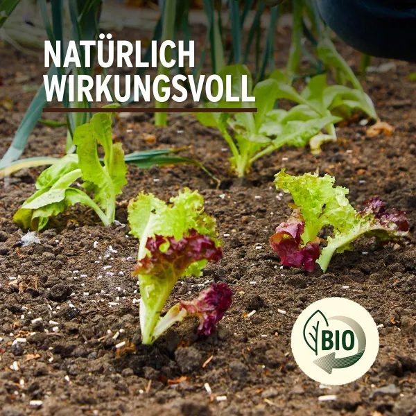 SUBSTRAL® Naturen® Schneckenkorn LIMEX® Bio für 400 m² - 1,2 kg