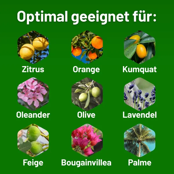 SUBSTRAL® Naturen® Mediterrane und Zitruspflanzenerde torffrei - 20 Liter