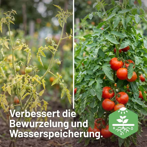 SUBSTRAL® Naturen® Tomaten- und Gemüseerde torffrei - 40 Liter