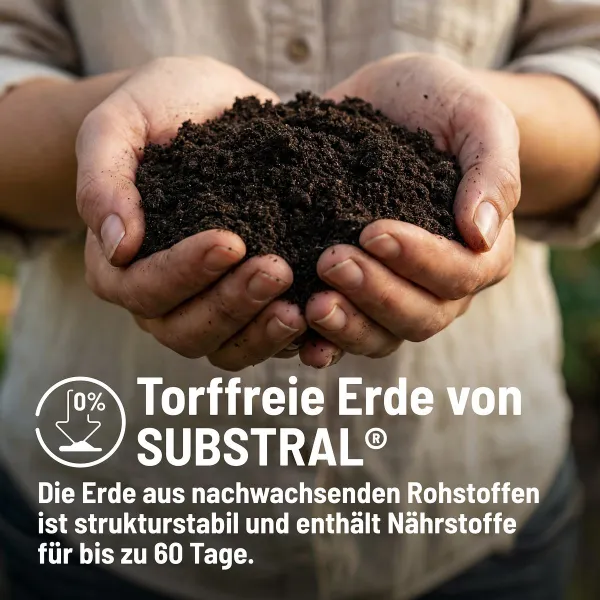 SUBSTRAL® Naturen® Tomaten- und Gemüseerde torffrei - 40 Liter