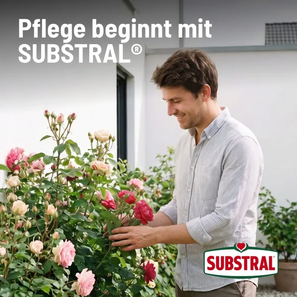 SUBSTRAL® Pflanzerde torffrei - 40 Liter