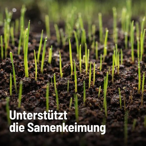 SUBSTRAL® Rasenerde torffrei - 40 Liter