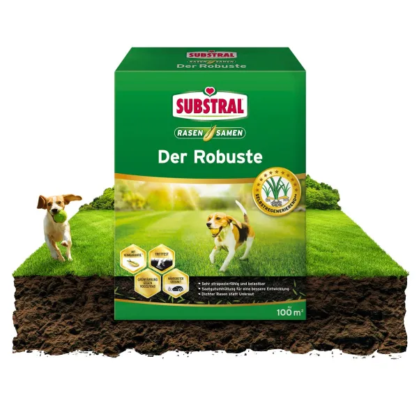 SUBSTRAL® Rasensamen Der Robuste für 100 m² - 2 kg