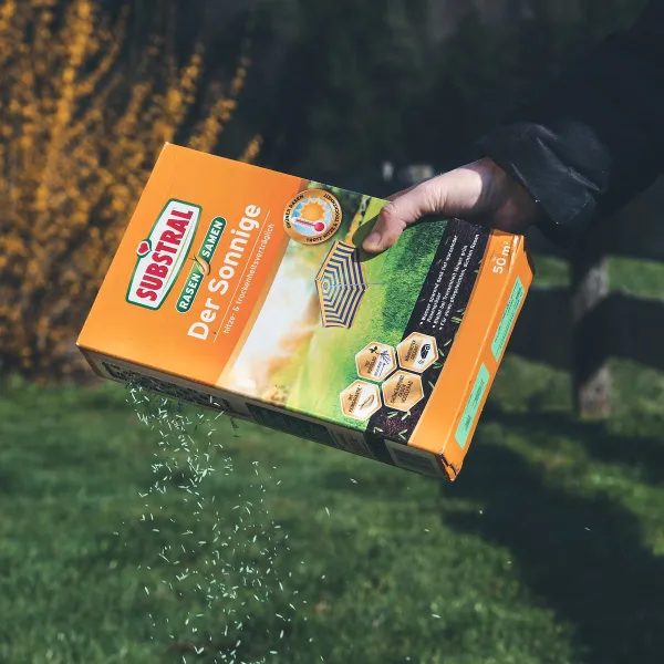 SUBSTRAL® Rasensamen Der Sonnige für 50 m² - 1,125 kg