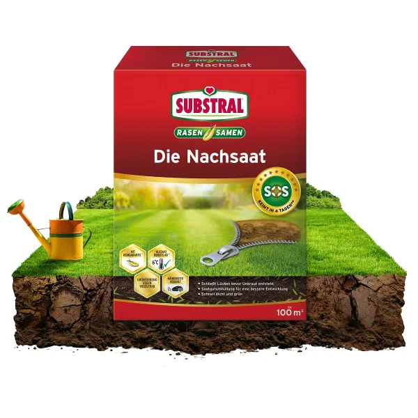 SUBSTRAL® Rasensamen Die Nachsaat für ca. 100 m² - 2 kg