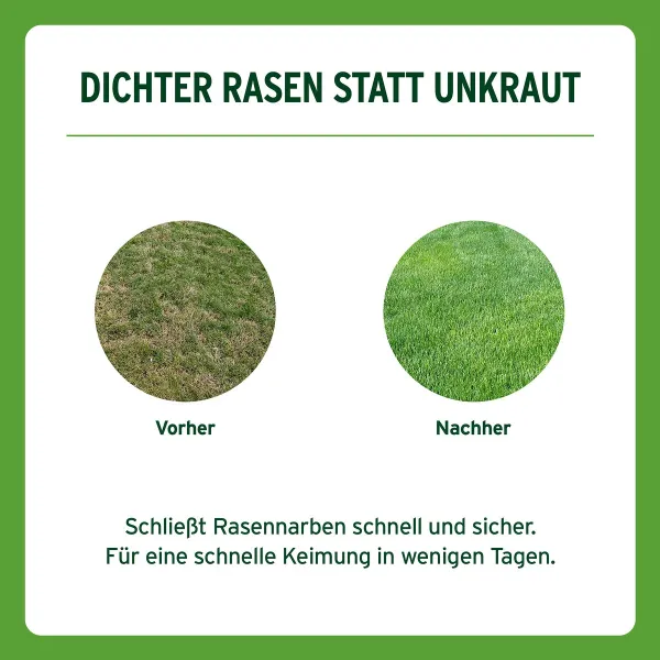 SUBSTRAL® Rasensamen Sport & Spiel 2 kg für bis zu 100 m²