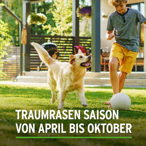 SUBSTRAL® Rasensamen Sport & Spiel 2 kg für bis zu 100 m²