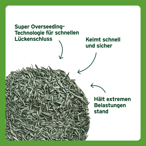 SUBSTRAL® Rasensamen Sport & Spiel für 500 m² - 10 kg