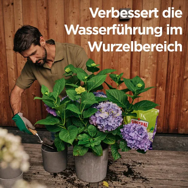 SUBSTRAL® Rhododendron- und Hortensienerde torffrei - 40 Liter