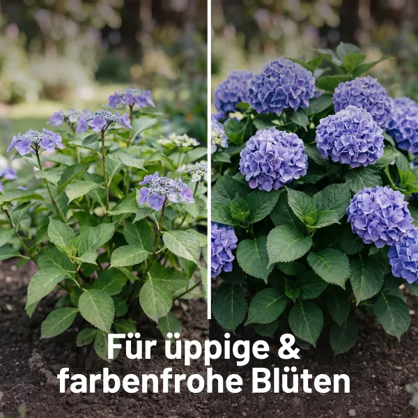 SUBSTRAL® Rhododendron- und Hortensienerde torffrei - 40 Liter