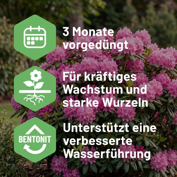 SUBSTRAL® Rhododendron- und Hortensienerde torffrei - 40 Liter