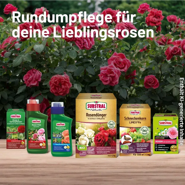 SUBSTRAL® Rosenspray Careo Eco Schädlingsfrei anwendungsfertig - 1 Liter