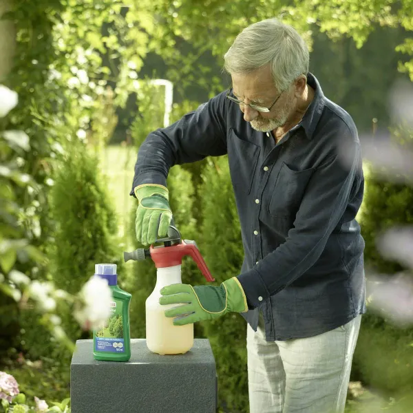 SUBSTRAL® Thuja-Vital für bis zu 20 Pflanzen - 500 ml