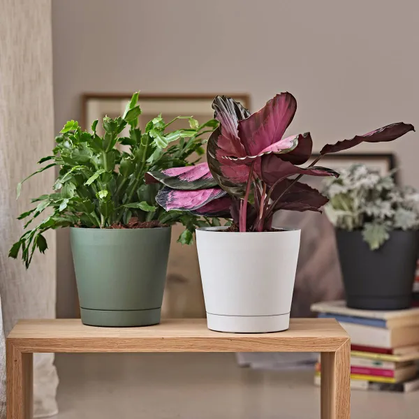 tera® Pflanzgefäße ORIONE Forest dunkelgrün 19 cm - Kunststoff