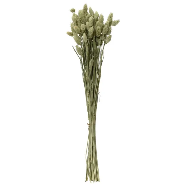 Trockenblumenbund Kanariengras-Phalaris Ø 14 cm 55 cm - Bund